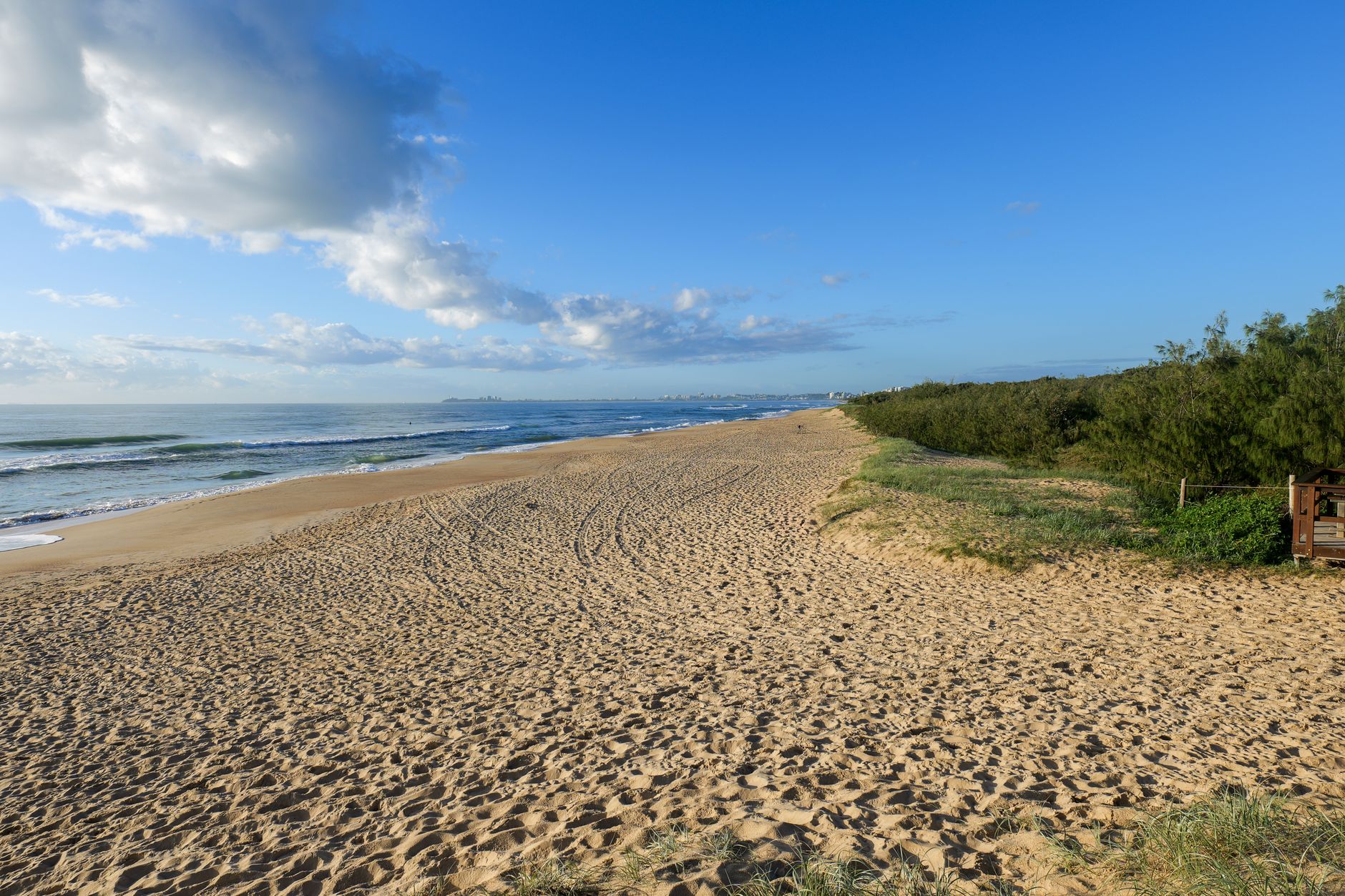 Wide sandy beach under a clear sky on the Sunshine Coast, Queensland, Australia captured in daylight.