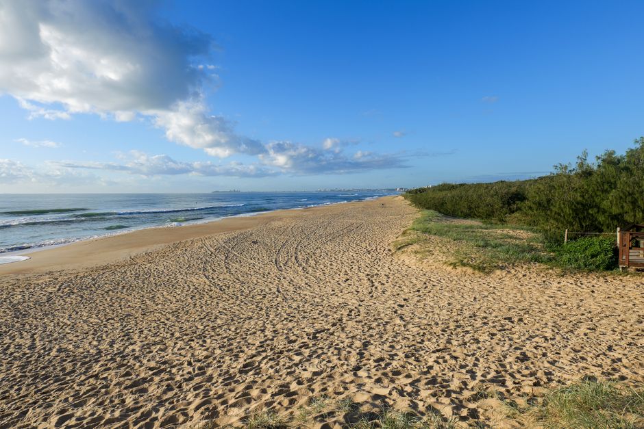 Wide sandy beach under a clear sky on the Sunshine Coast, Queensland, Australia captured in daylight.