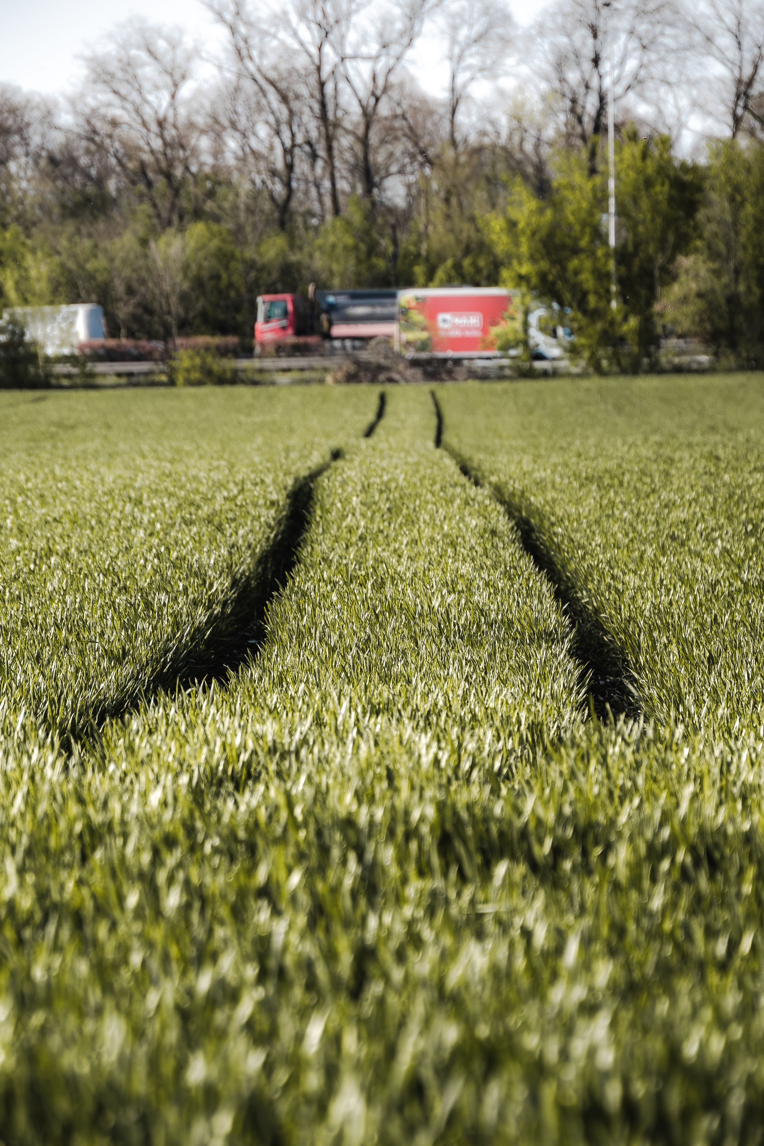Tractor Tire Tracks in Lush Green Field · Free Stock Photo