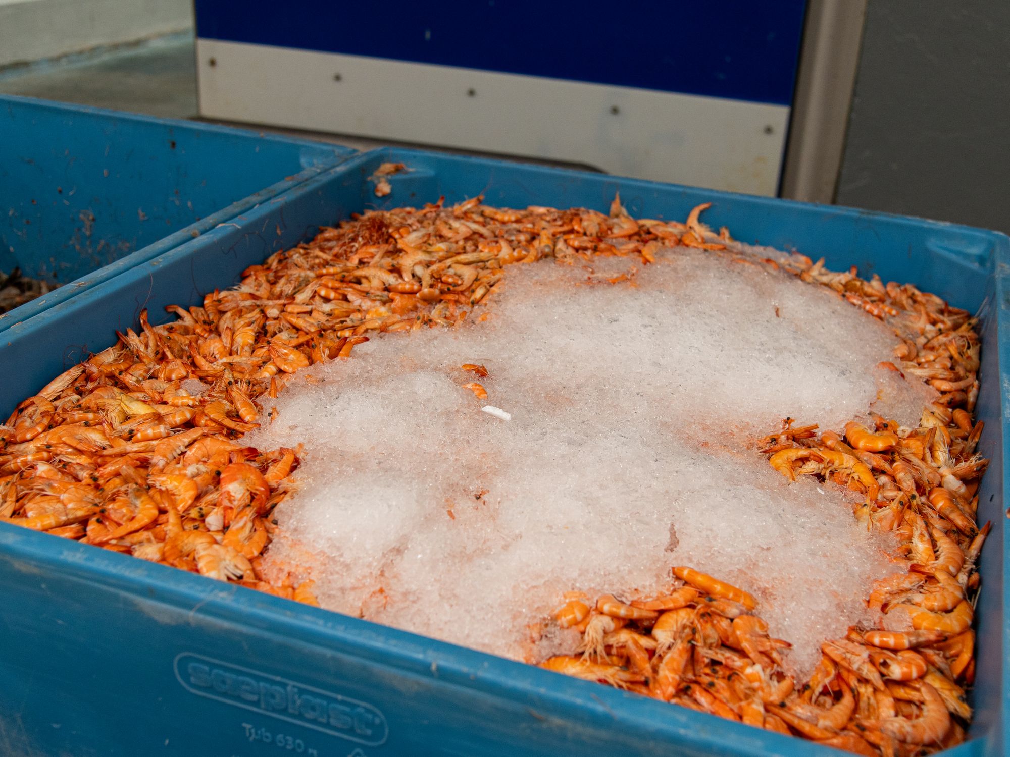 Storage Transport in South Bank, North East — belongings being loaded for transport to storage
