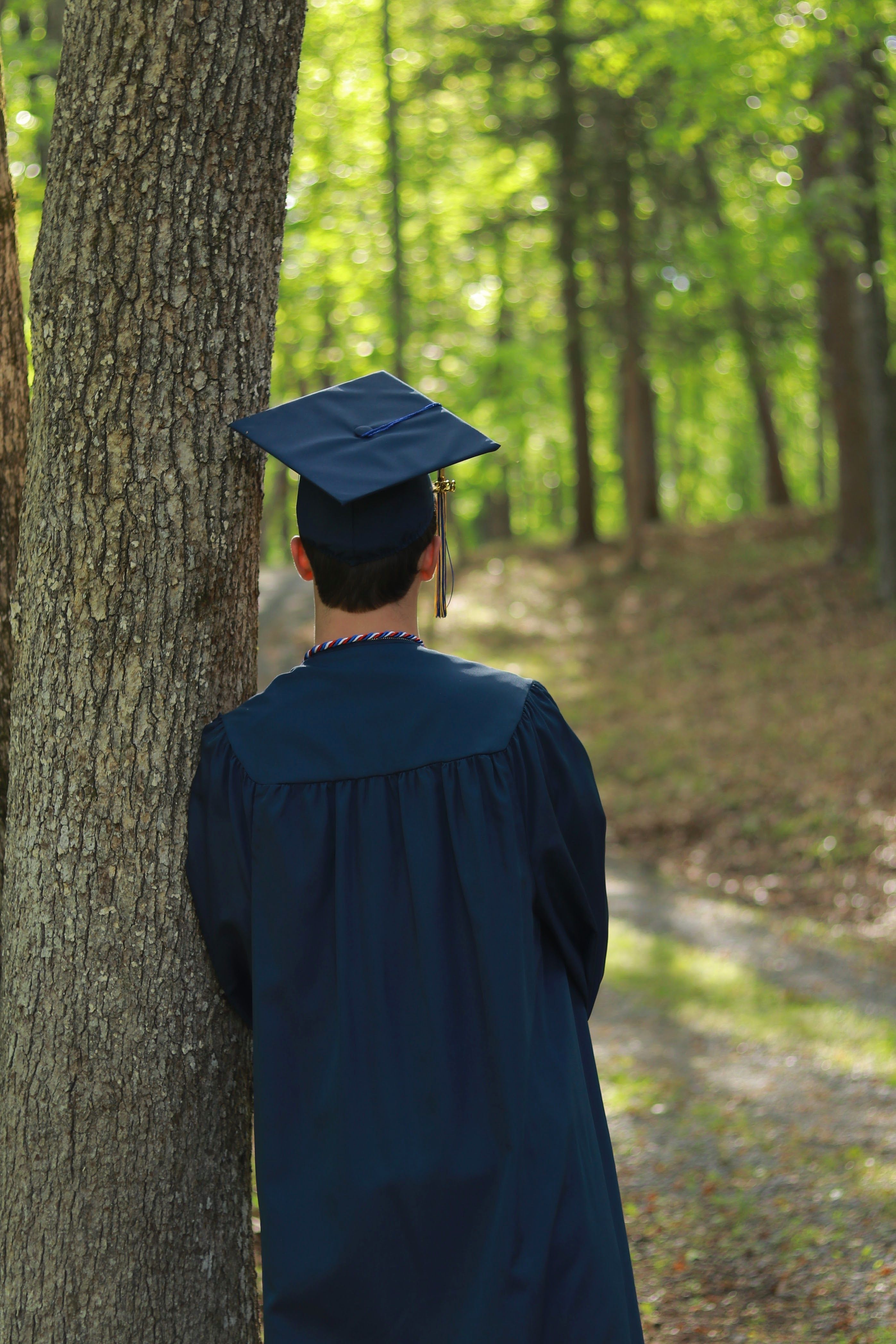 Child in Graduation Cap in Forest Setting · Free Stock Photo