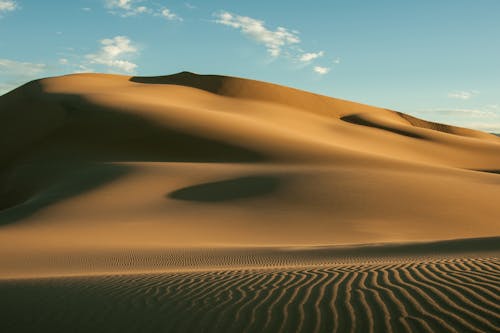 Bruine Woestijn
