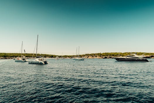 Picturesque scene of sailboats and yachts on Ibiza's clear waters under a bright summer sky.
