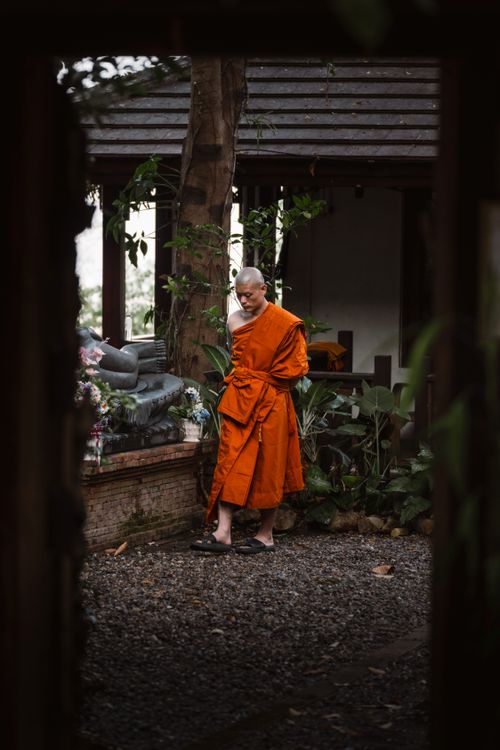 Free A serene scene of a monk in traditional orange robes reflecting in a lush temple garden. Stock Photo