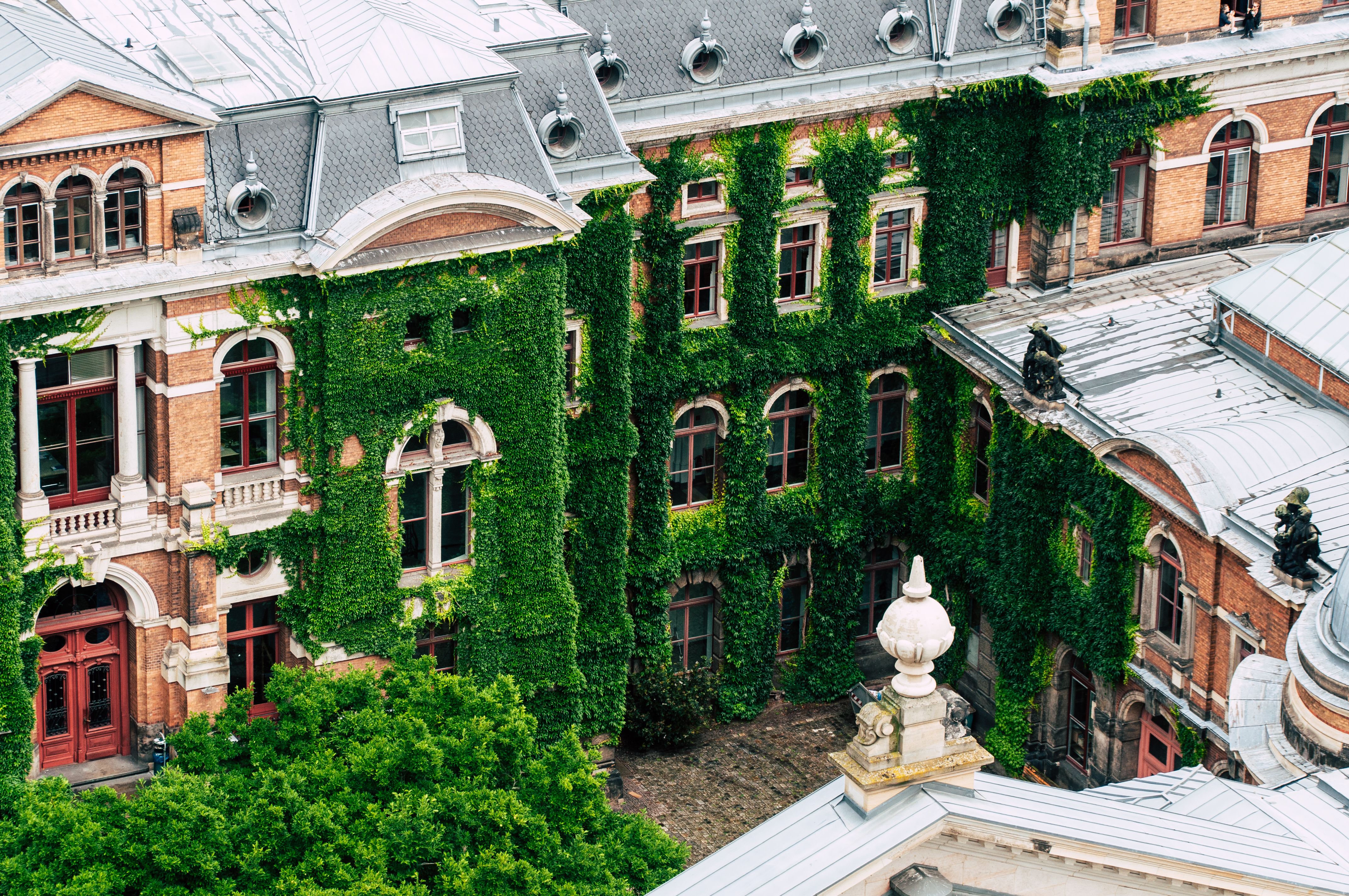 8 Ivy League Colleges That Offer Free Online Courses — Photo by wal_ 172619 on Pexels