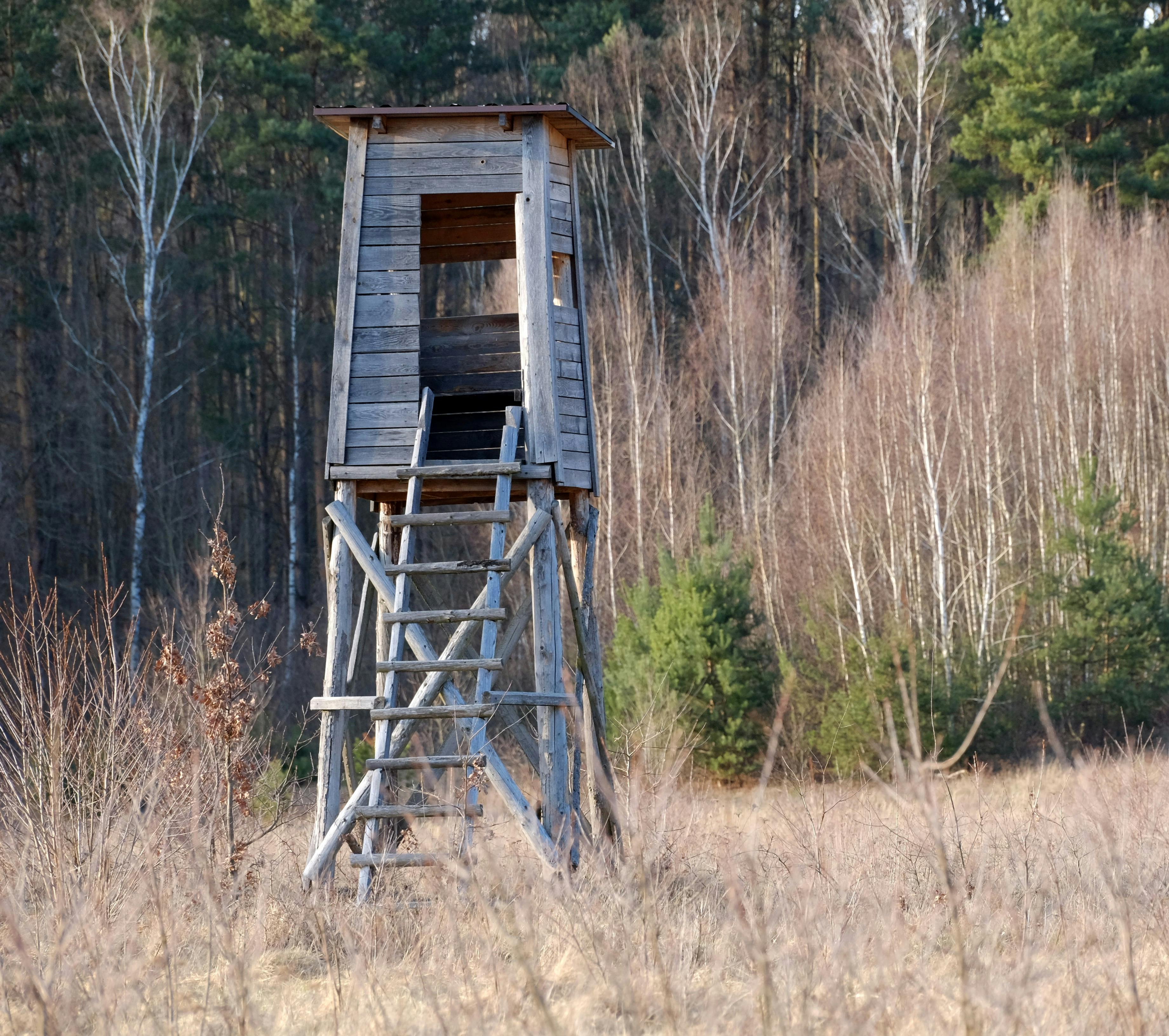 Hunting &amp; Outdoor Adventure Show at QCCA Expo Center, Rock Island, Feb. 12-15 — Photo by Roman Biernacki on Pexels