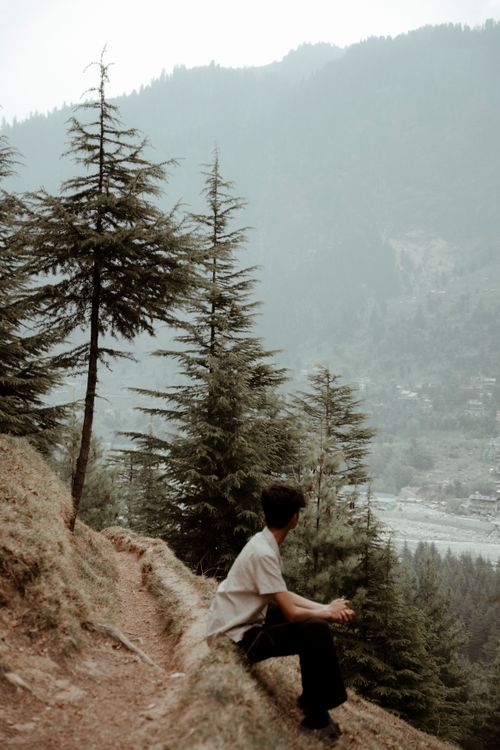 Free A lone hiker sitting on a trail surrounded by misty mountains and tall pine trees, embodying serenity in nature. Stock Photo