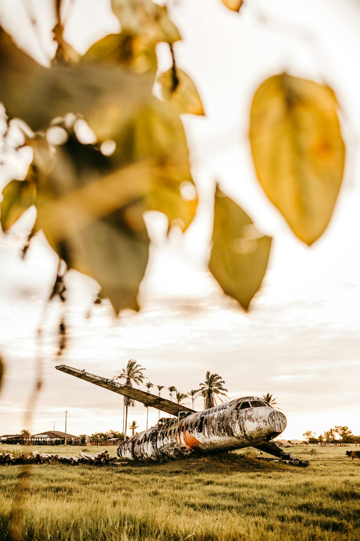 Carnival Night Run poster