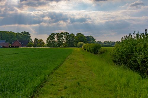 Free Scenic view of green fields and trees with sunlight breaking through clouds in Coesfeld, NRW. Stock Photo