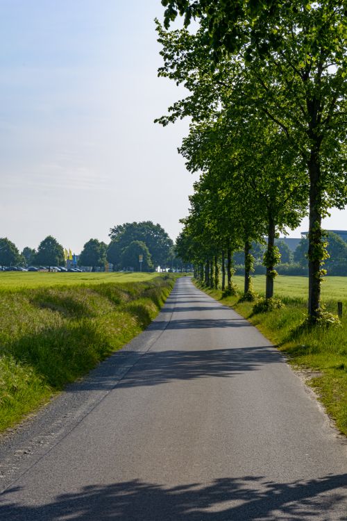 Free Beautiful tree-lined rural road leading to the horizon under a clear blue sky in Coesfeld, Germany. Stock Photo