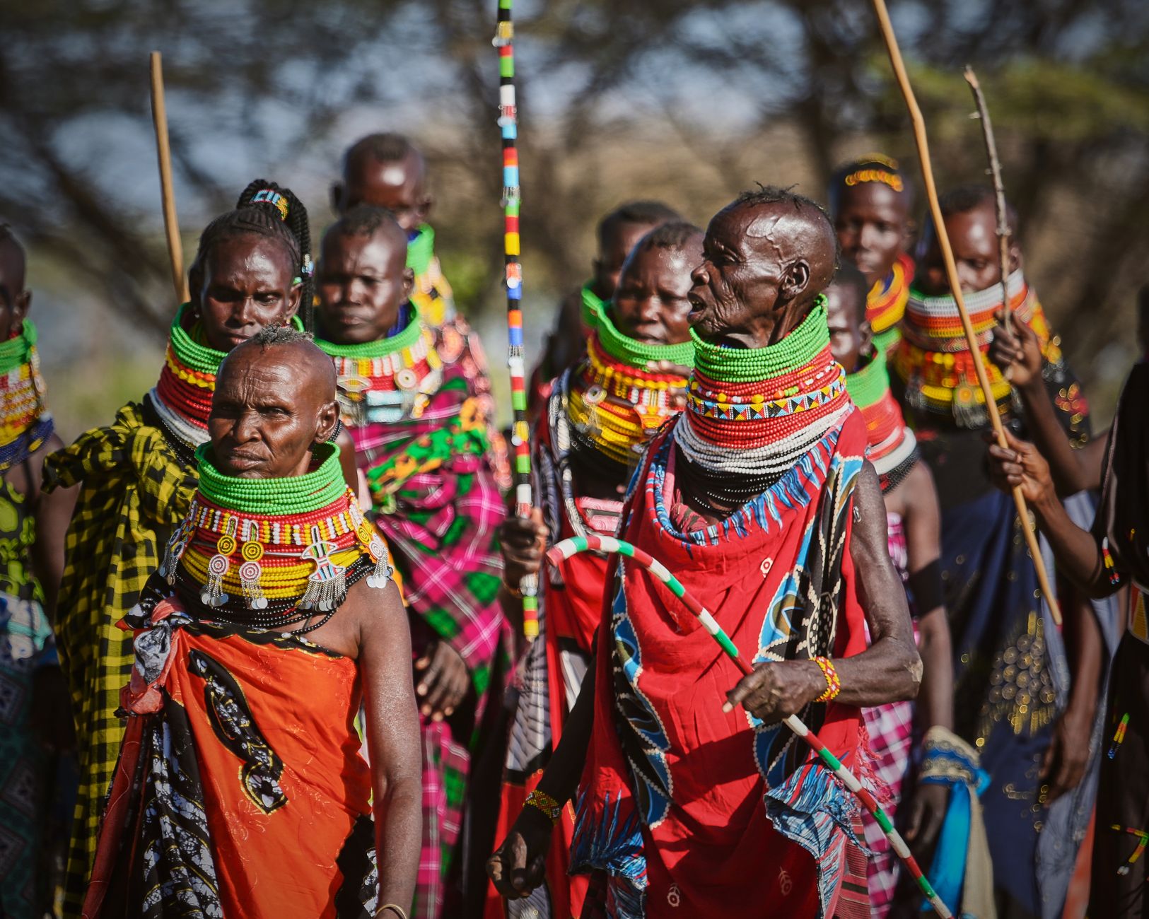 A group of people in traditional Masai attire, showcasing vibrant beadwork and cultural heritage.