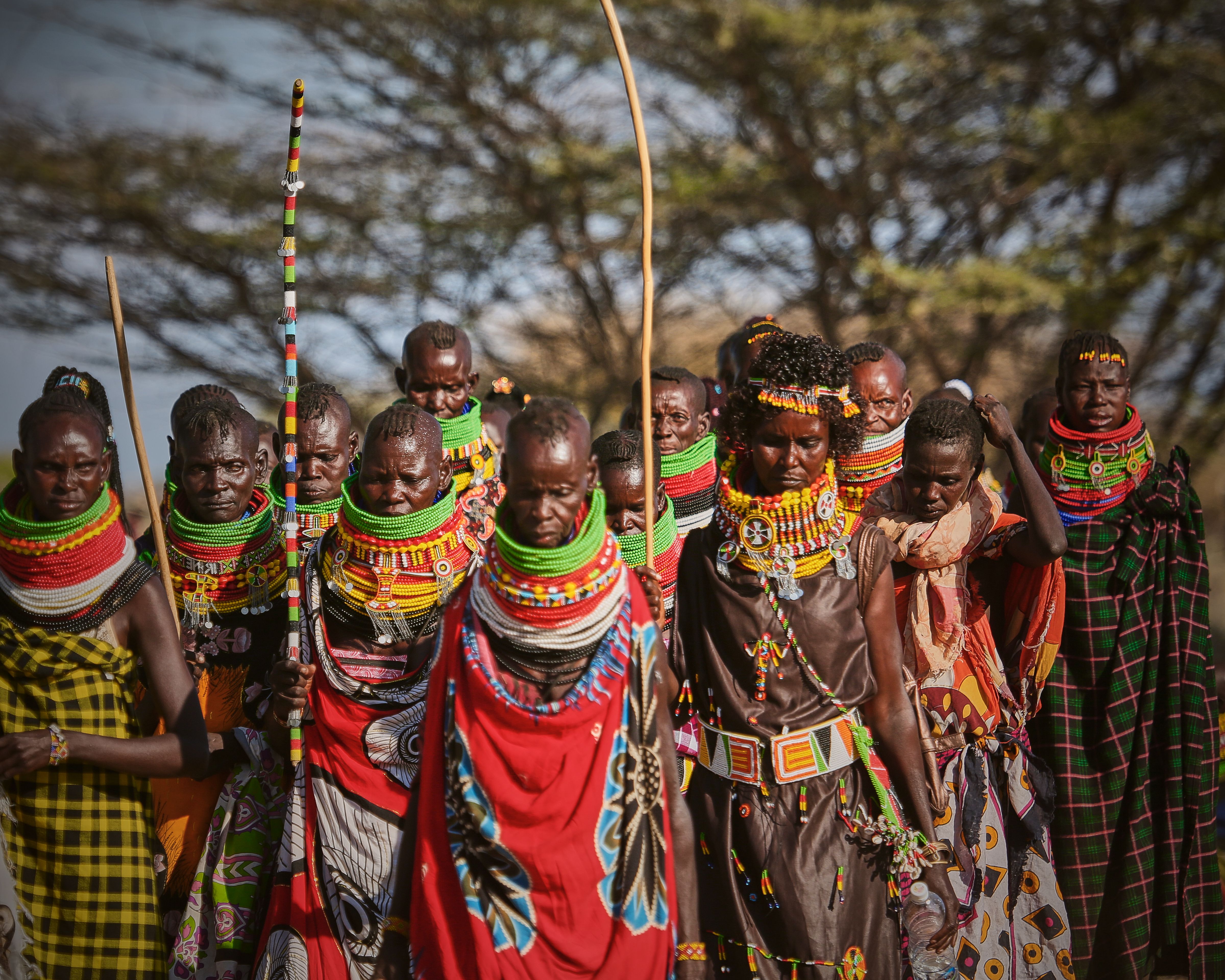 Rastafarians in Kenya fail in bid to get cannabis legalised for religious purposes — Photo by alvin demule on Pexels