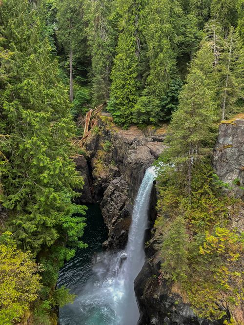 Free Captivating view of a waterfall cascading through dense forest, showcasing nature's beauty. Stock Photo