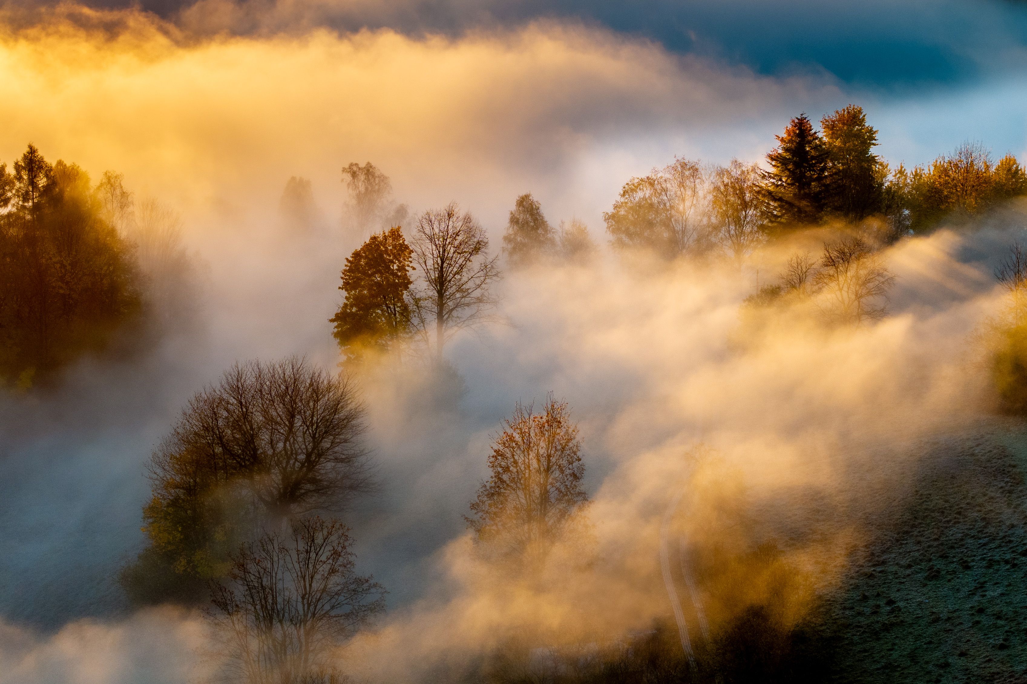 Beautiful sunrise with mist over autumn forest in Lesser Poland, capturing the serene and ethereal landscape.