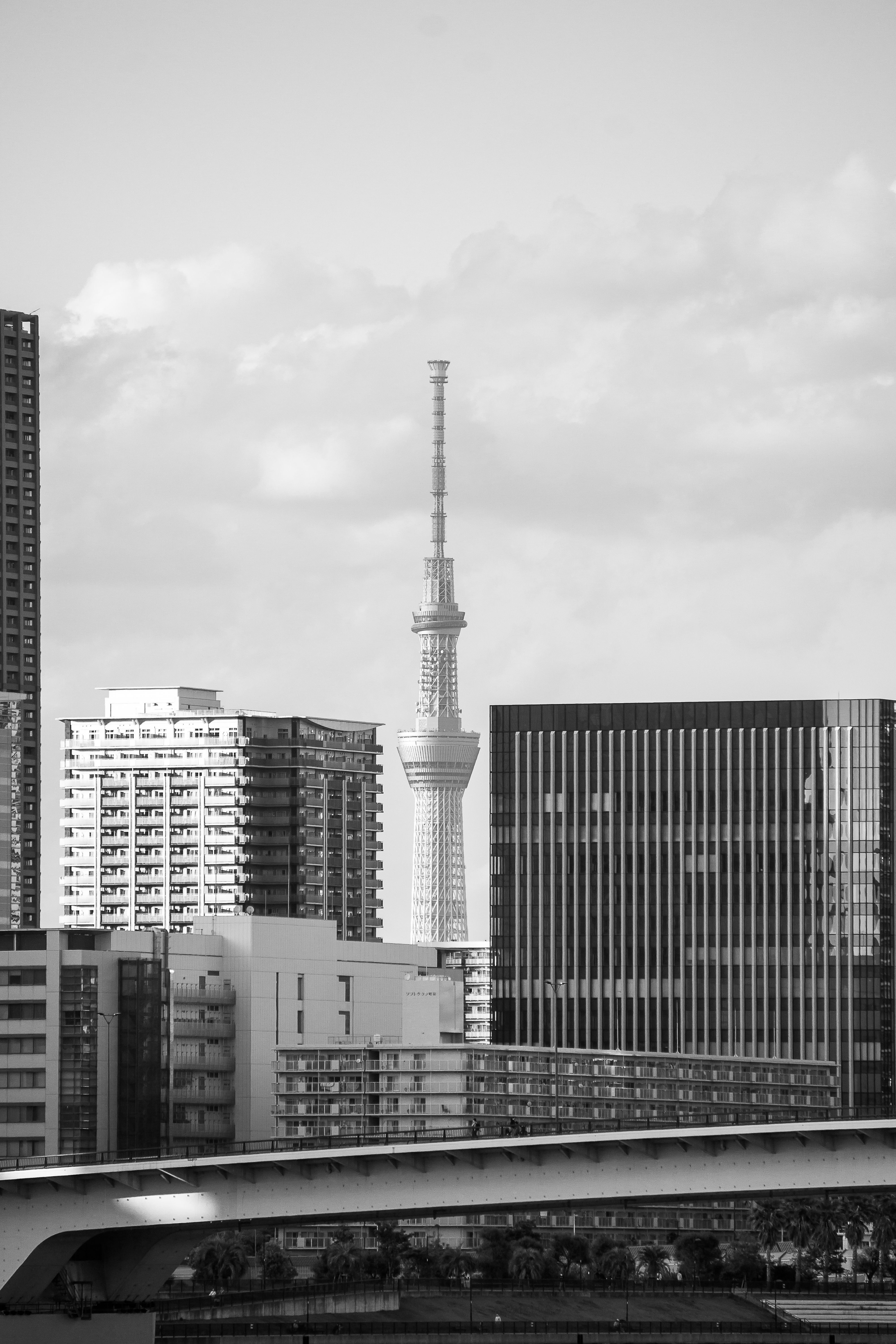 Dramatic black and white view of Tokyo Skytree among modern buildings.
