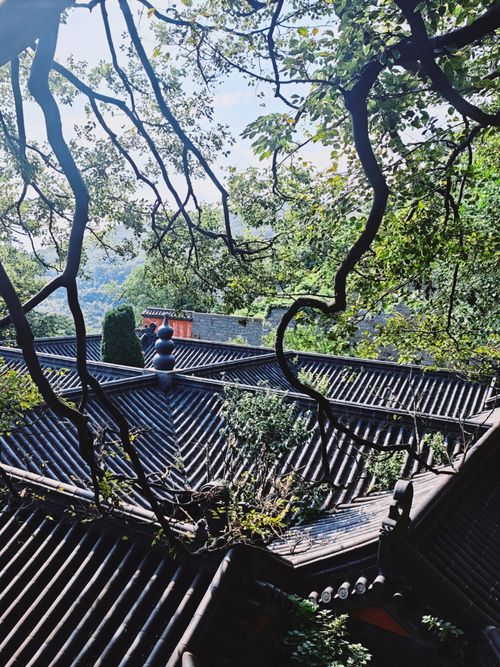 Free Peaceful temple roof view framed by trees, evoking zen and tranquility. Stock Photo