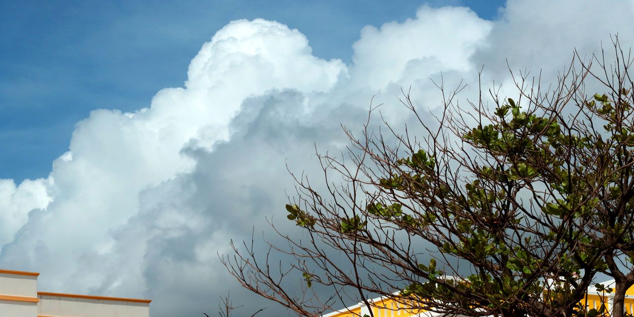 Clouds fill the sky above a tree and building.