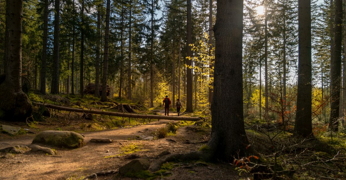 Les meilleures destinations de randonnée en Belgique