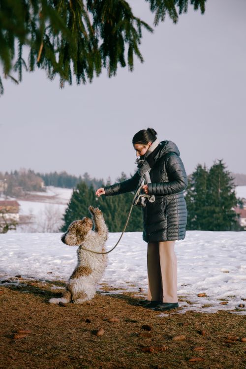 Free A woman teaches her dog a trick in a snowy park in Passau, Germany, amidst winter scenery. Stock Photo