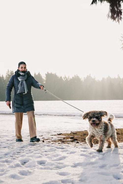 Free A woman enjoys a winter walk in Passau, Germany with her playful dog on a snowy path. Stock Photo