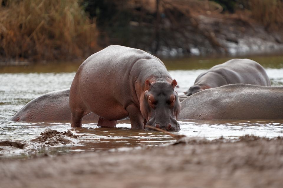 4 Day Zanzibar Safari Extension