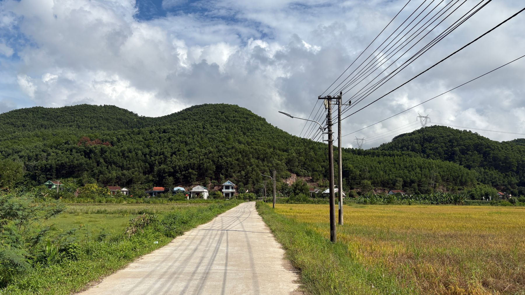 A serene rural road cuts through the lush, green Vietnamese countryside with distant hills and clear skies.