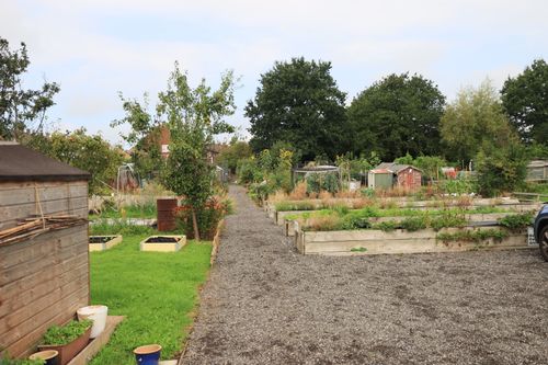 Free A beautiful community garden in England with raised beds and lush greenery. Stock Photo