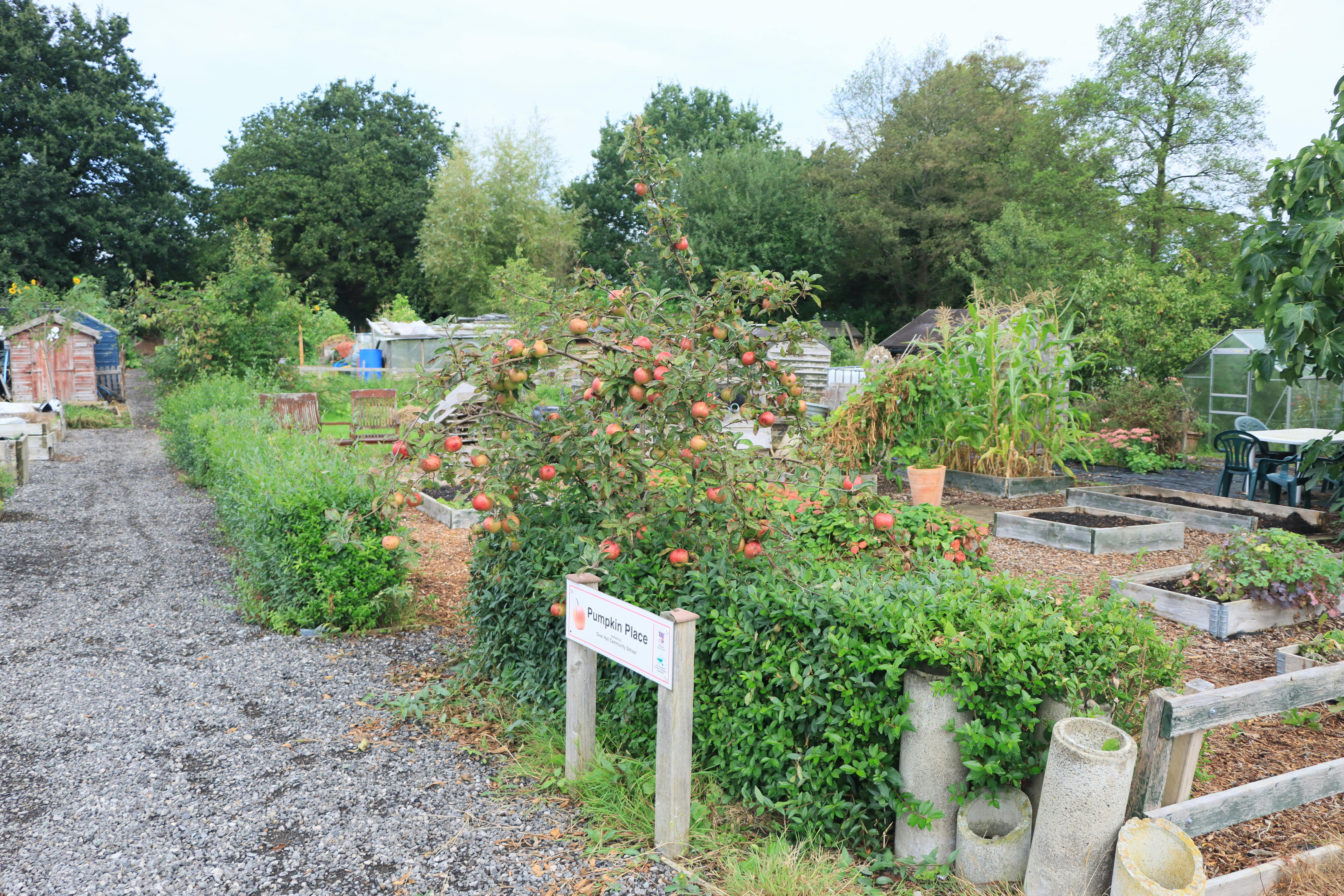 A formal walled garden with soft perennial planting and a limestone path leading toward a stone bench.