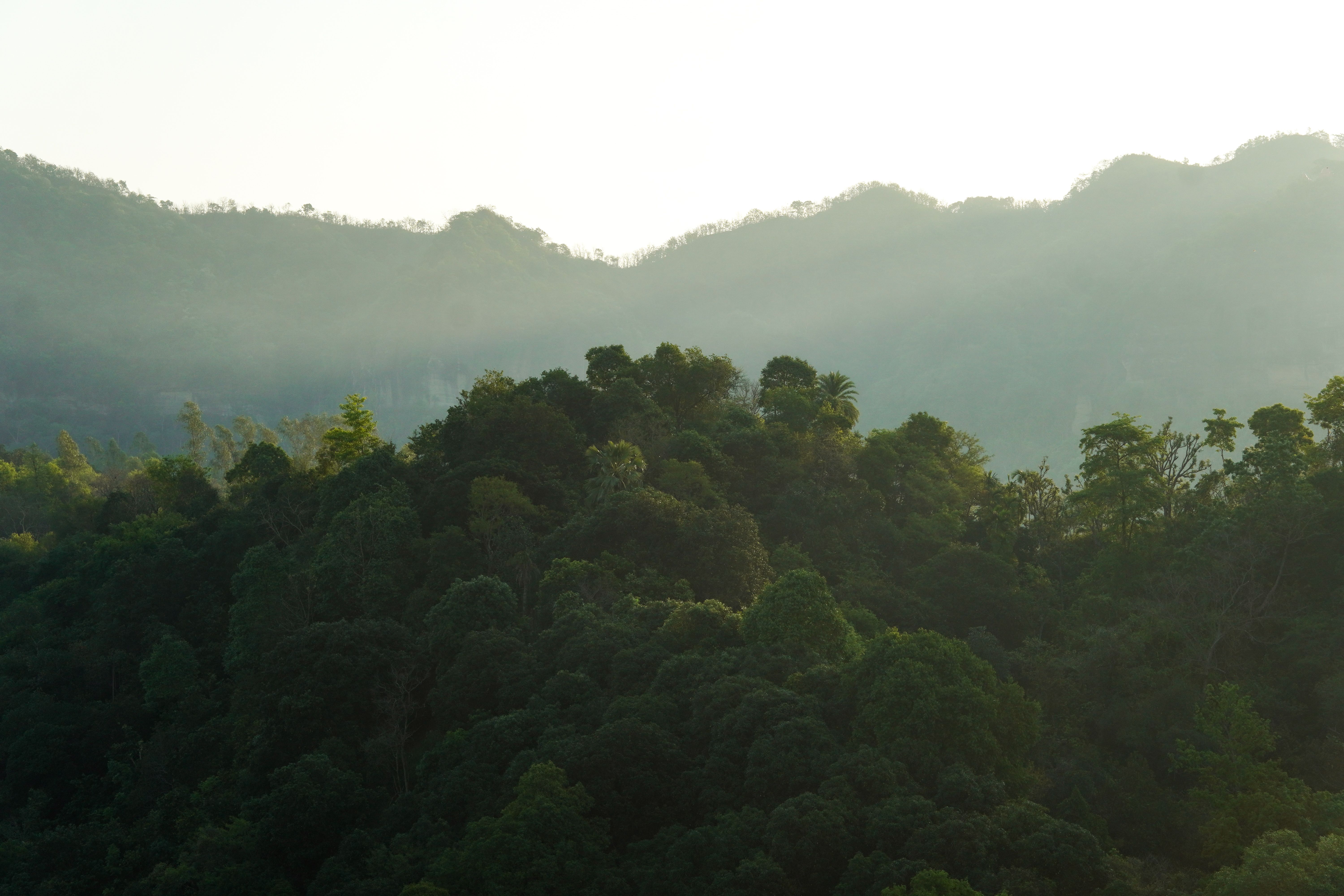 Mahale Mountains Tanzania: Chimpanzee Trekking on Lake Tanganyika