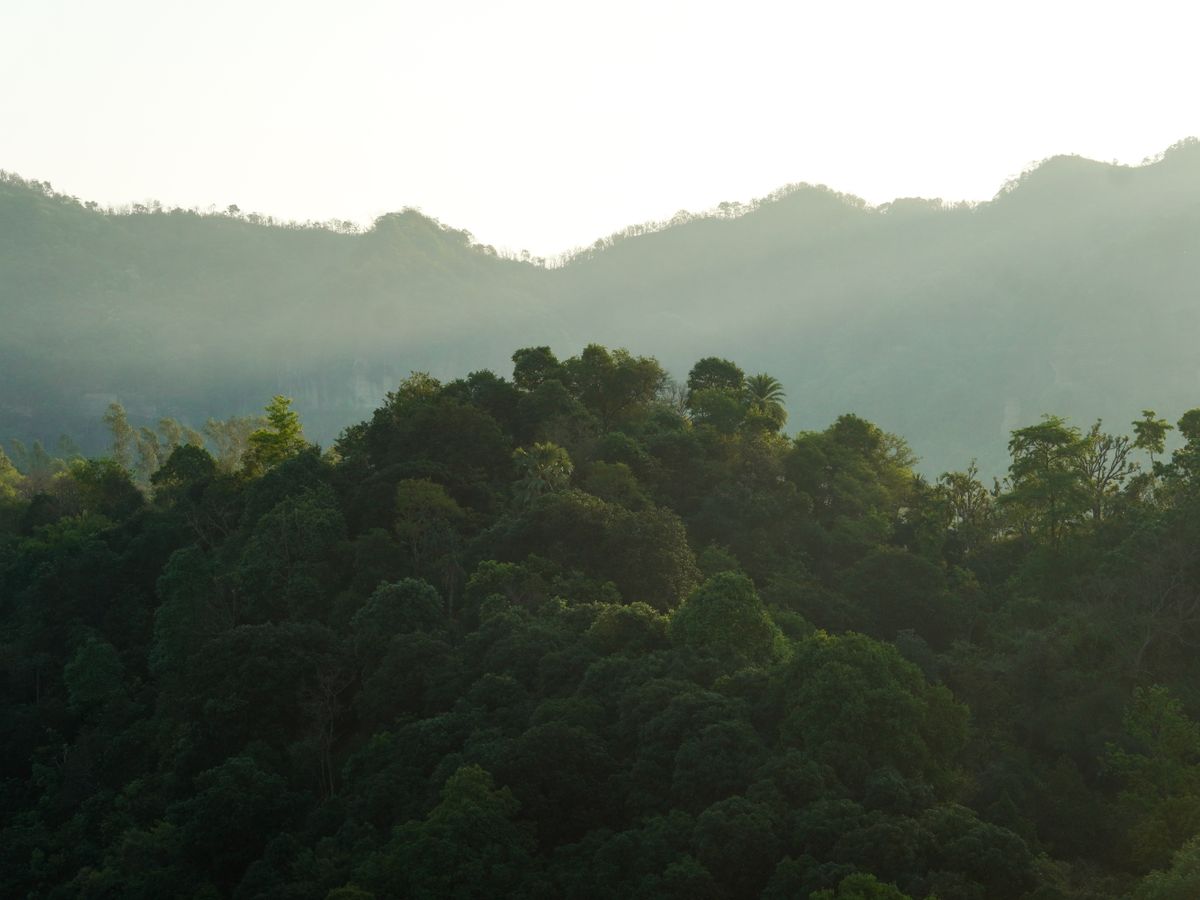 12 Day 100-Hour Kundalini Yoga Teacher Training in Rishikesh 2
