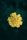 yellow flower