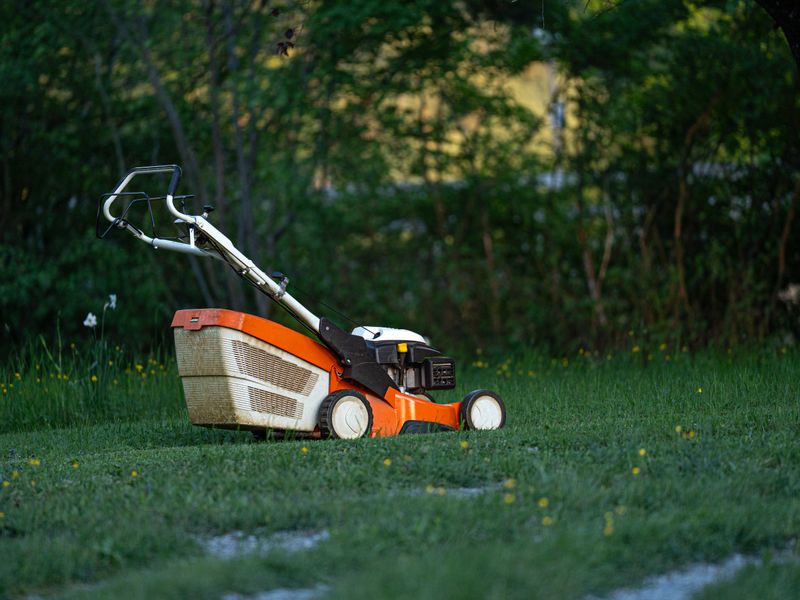 Garden & Landscaping