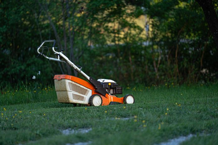 Seasonal lawn maintenance