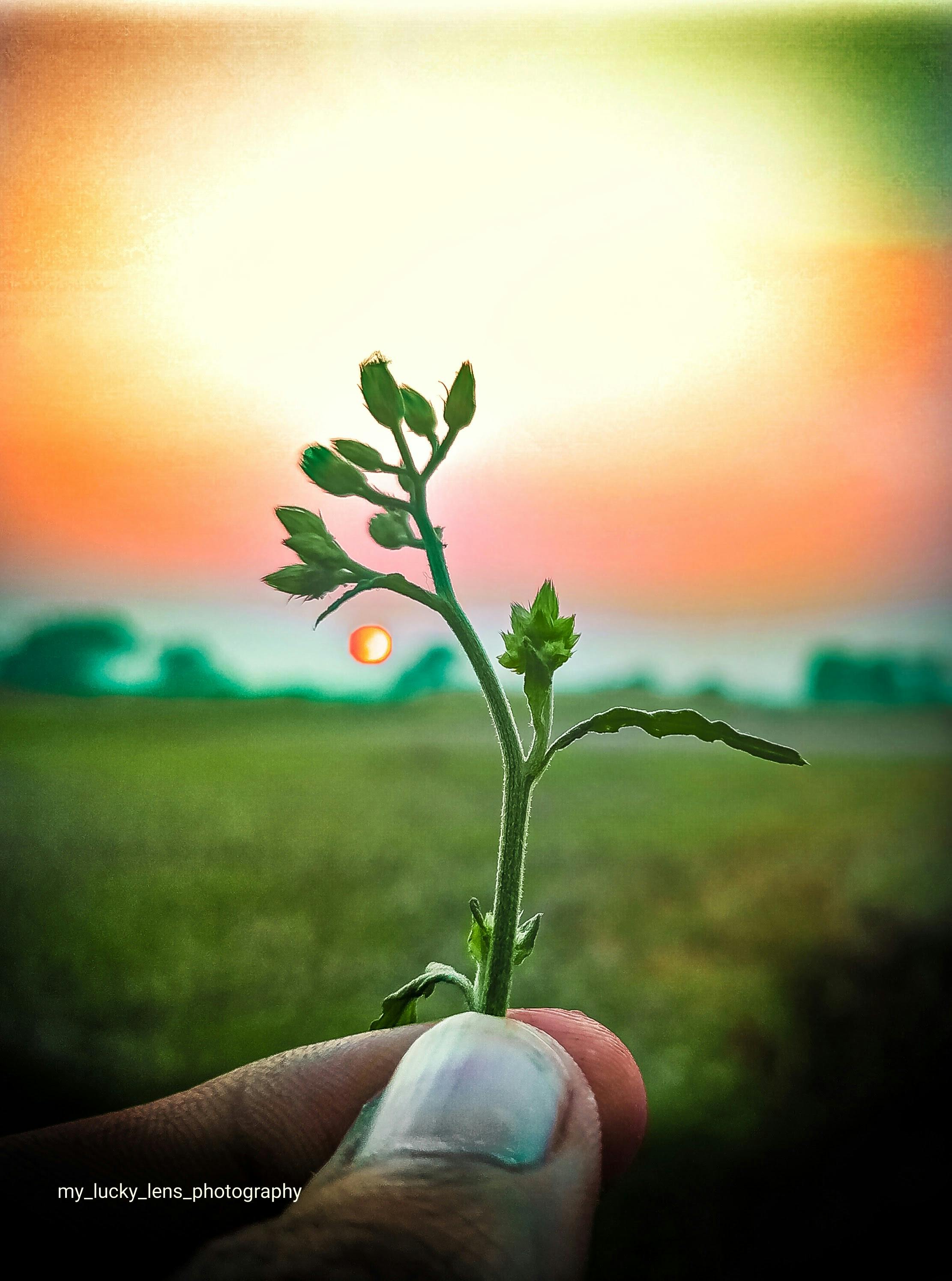 Group of friends in nature