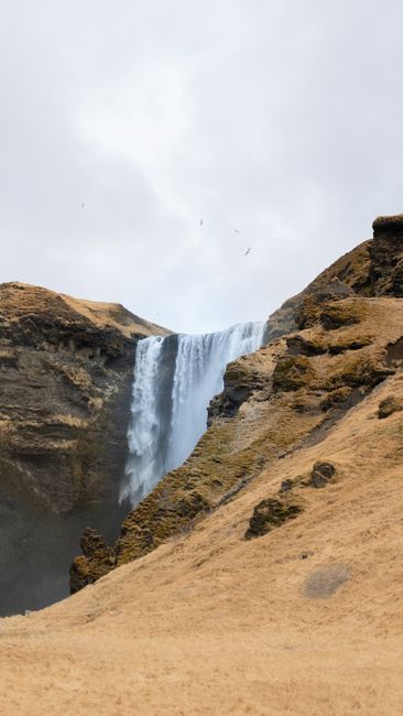 Skógafoss — photo by Artem Stoliar