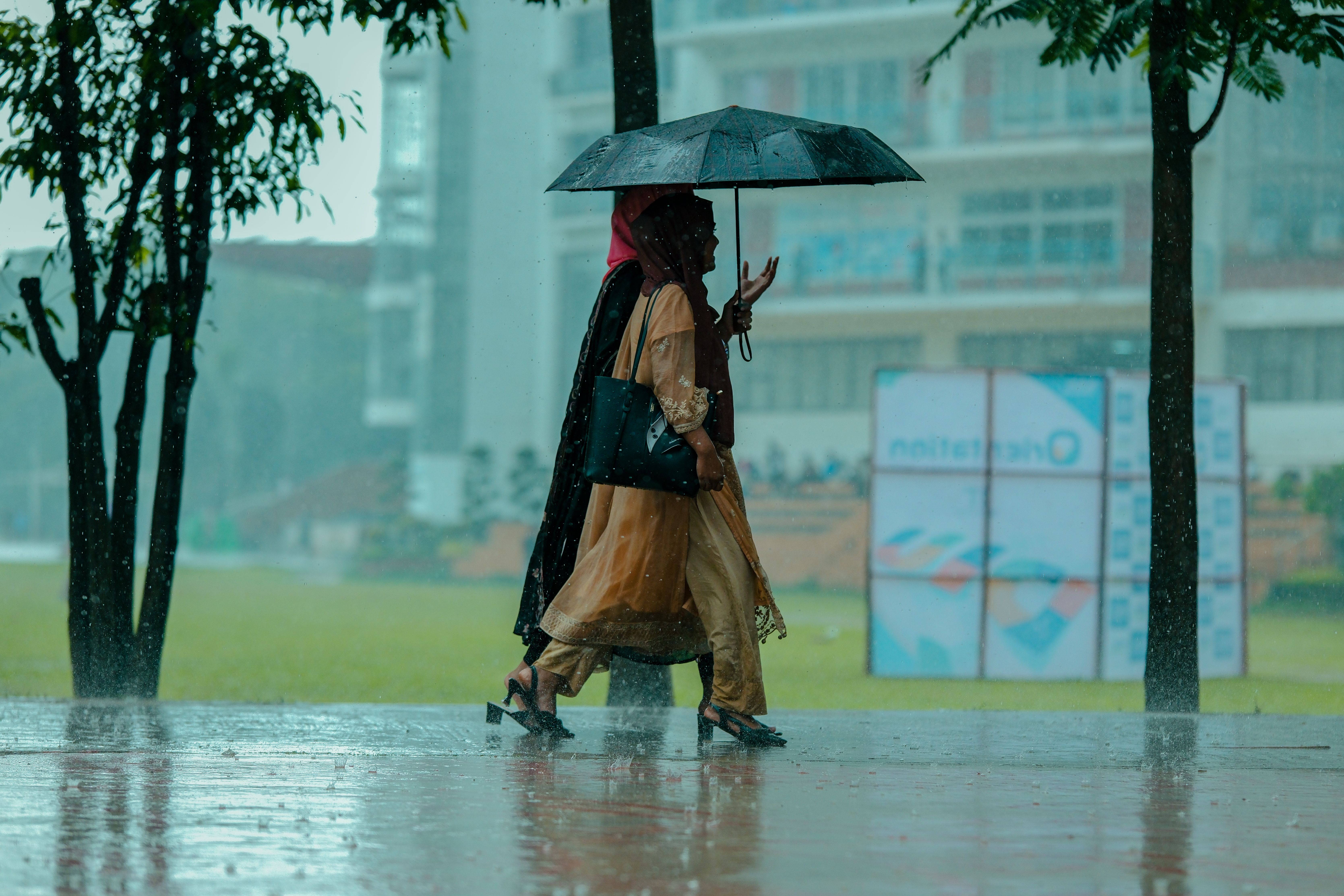 Monsoon's Retreat: Telangana Gears Up for Autumnal Shift as Skies Clear - nature coverage from Hyderabad, Telangana, India