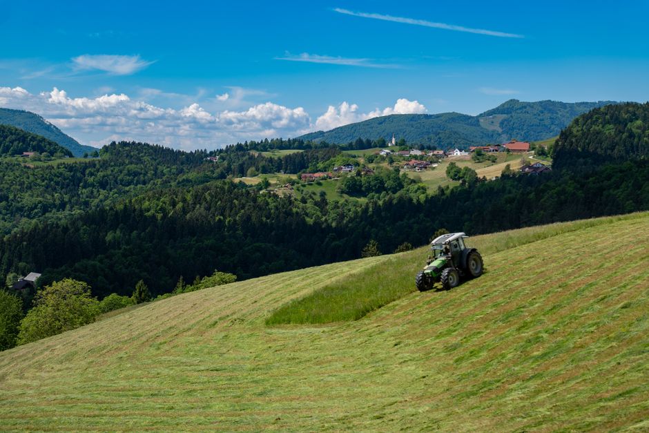 Simičeva učna ura fiskalnemu svetu