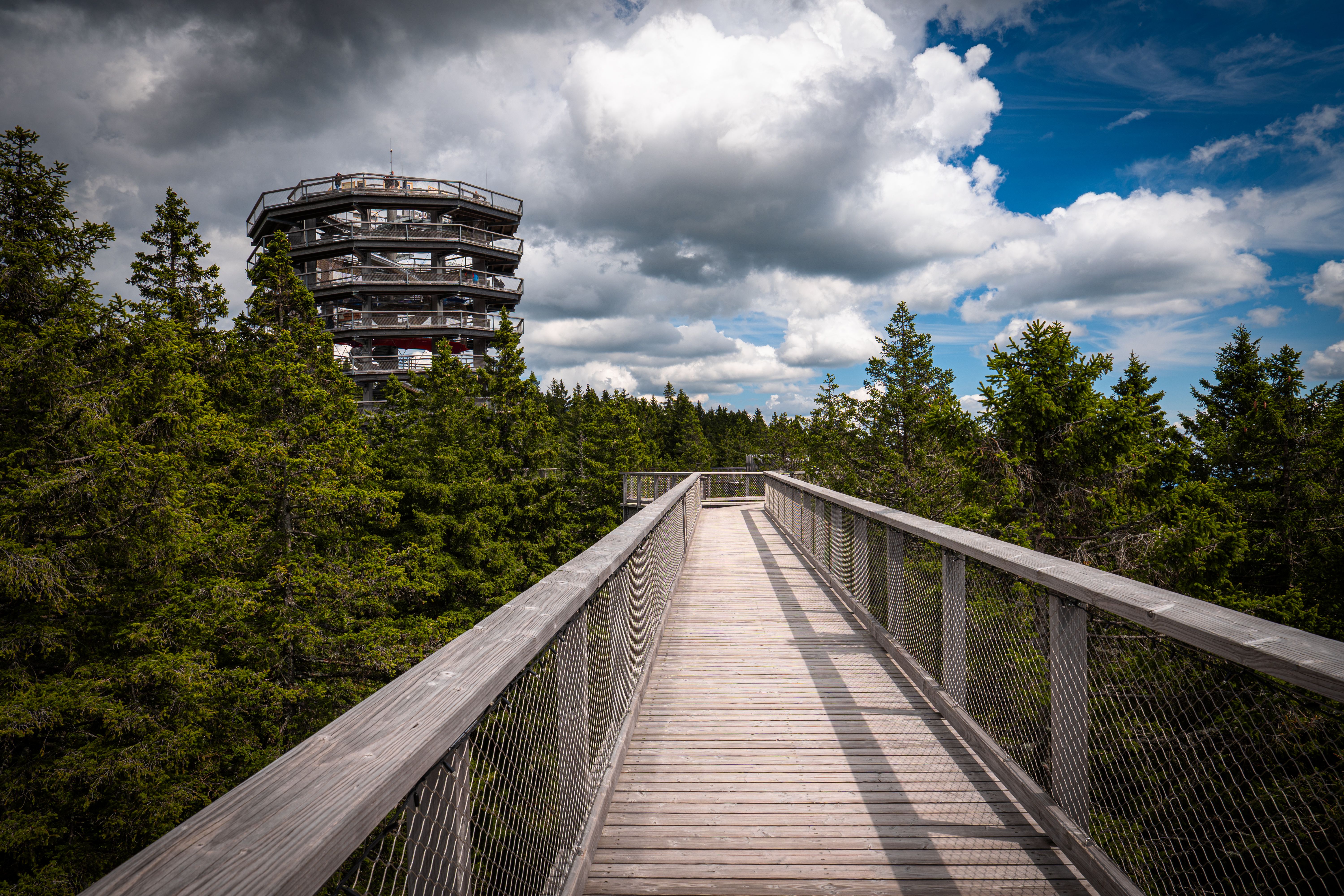 Baumwipfelpfad Harz Treetop Walk