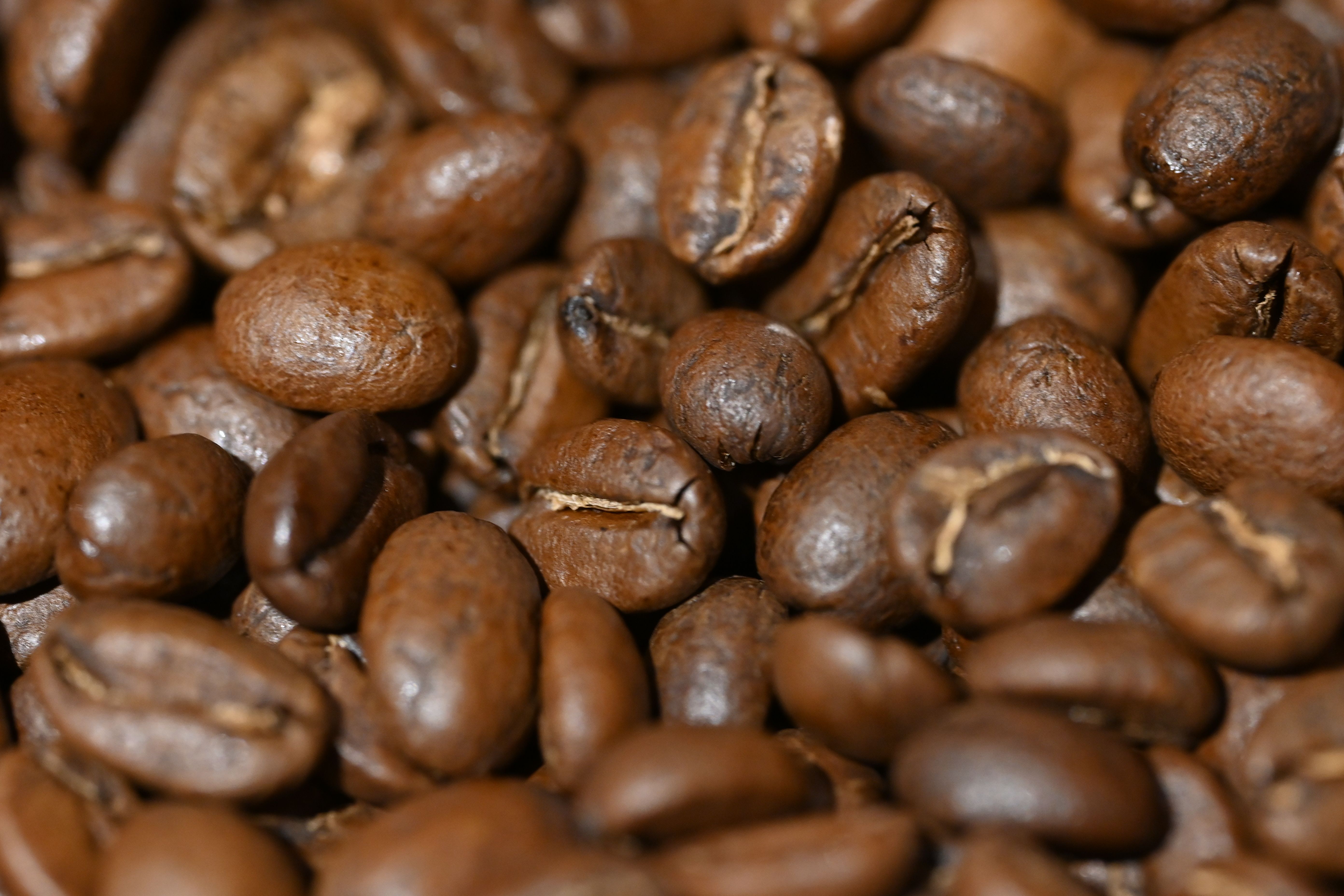 RUFF RIDER ROAST  - Why Is My Coffee Always Bitter? (And How to Fix It)