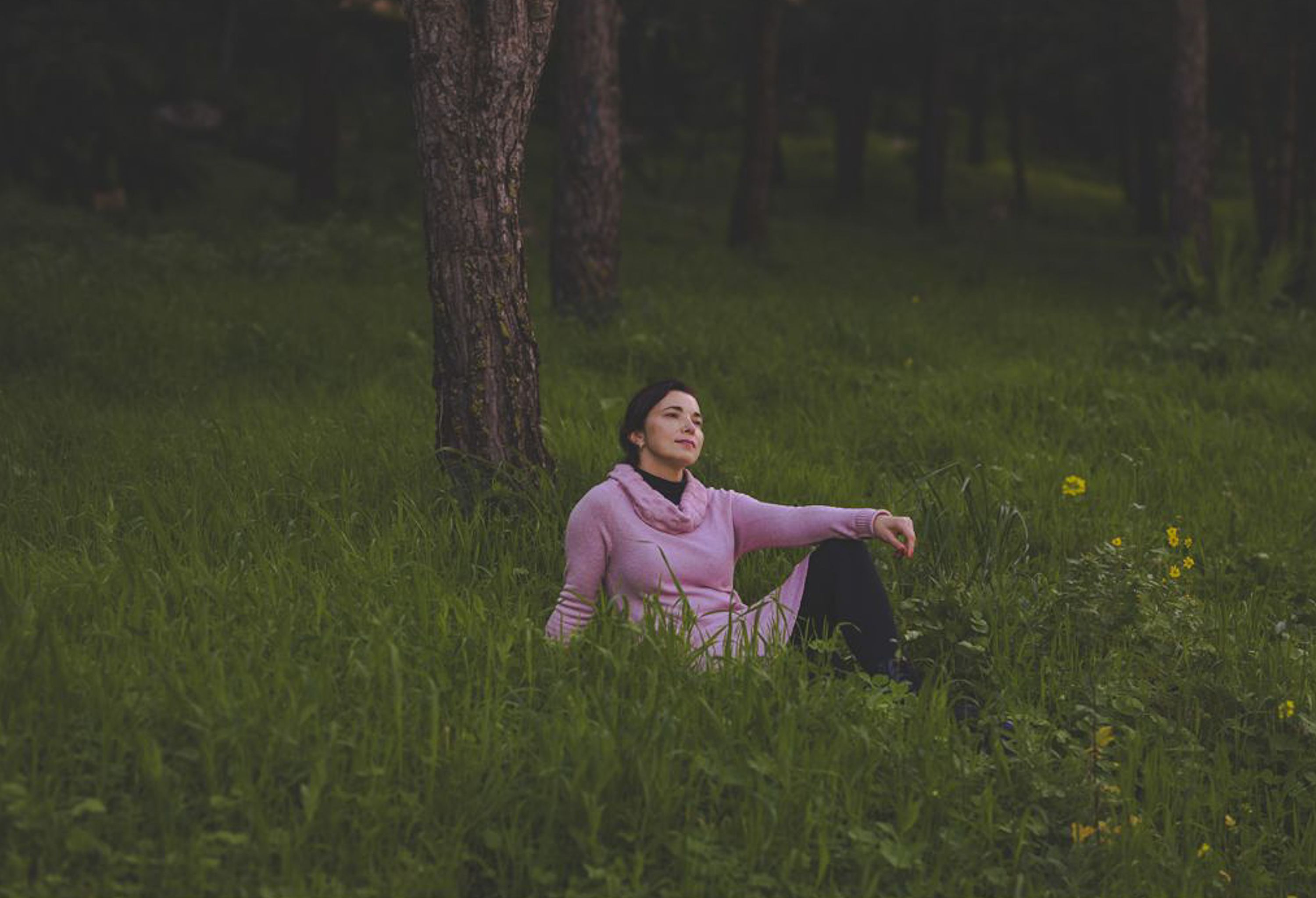 A season for a stroll after dinner — a gentle guide