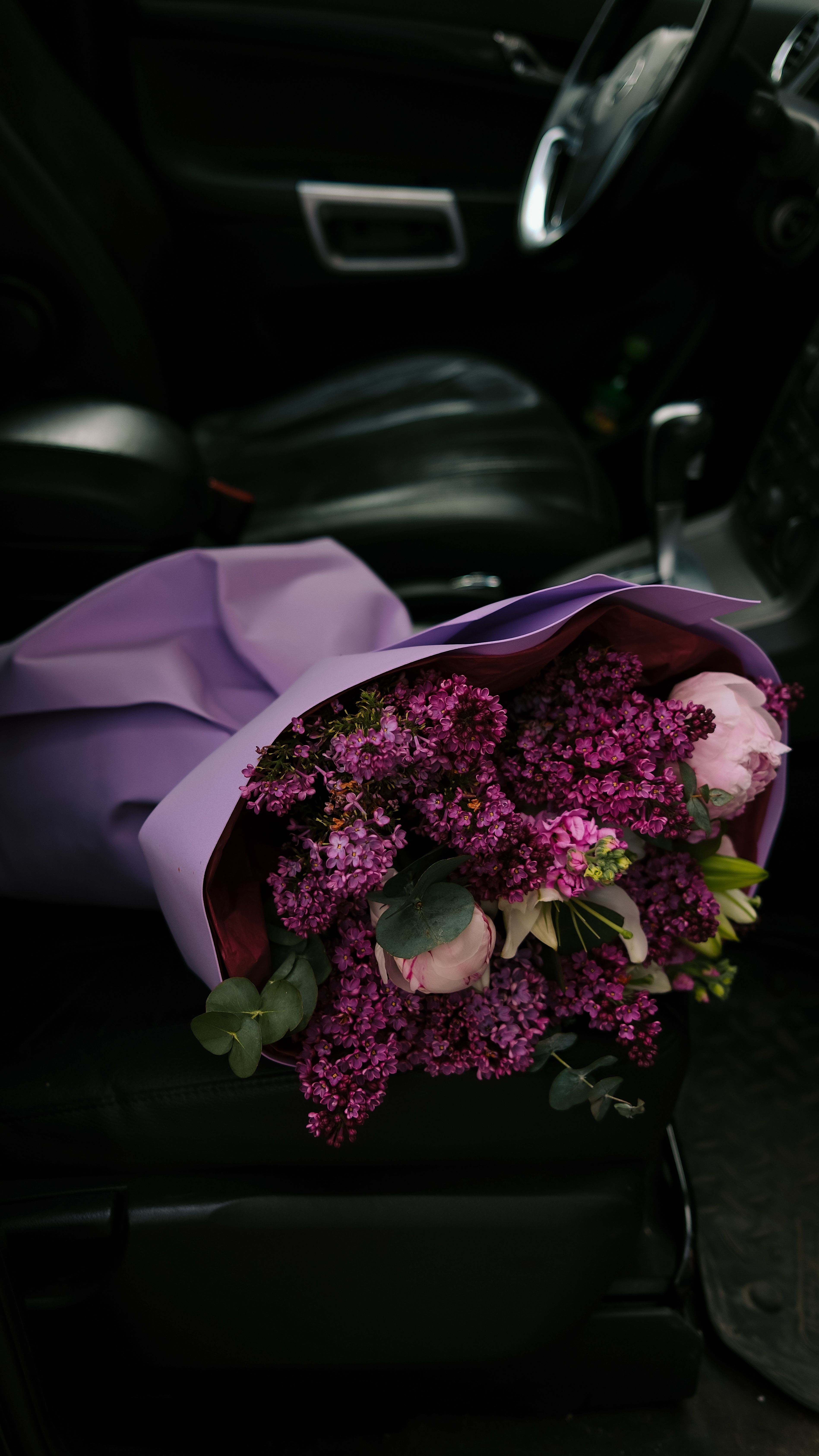 Purple flowers in bloom