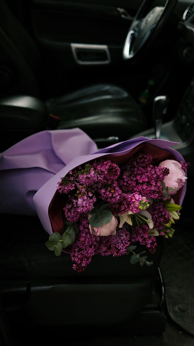 Purple flowers in bloom