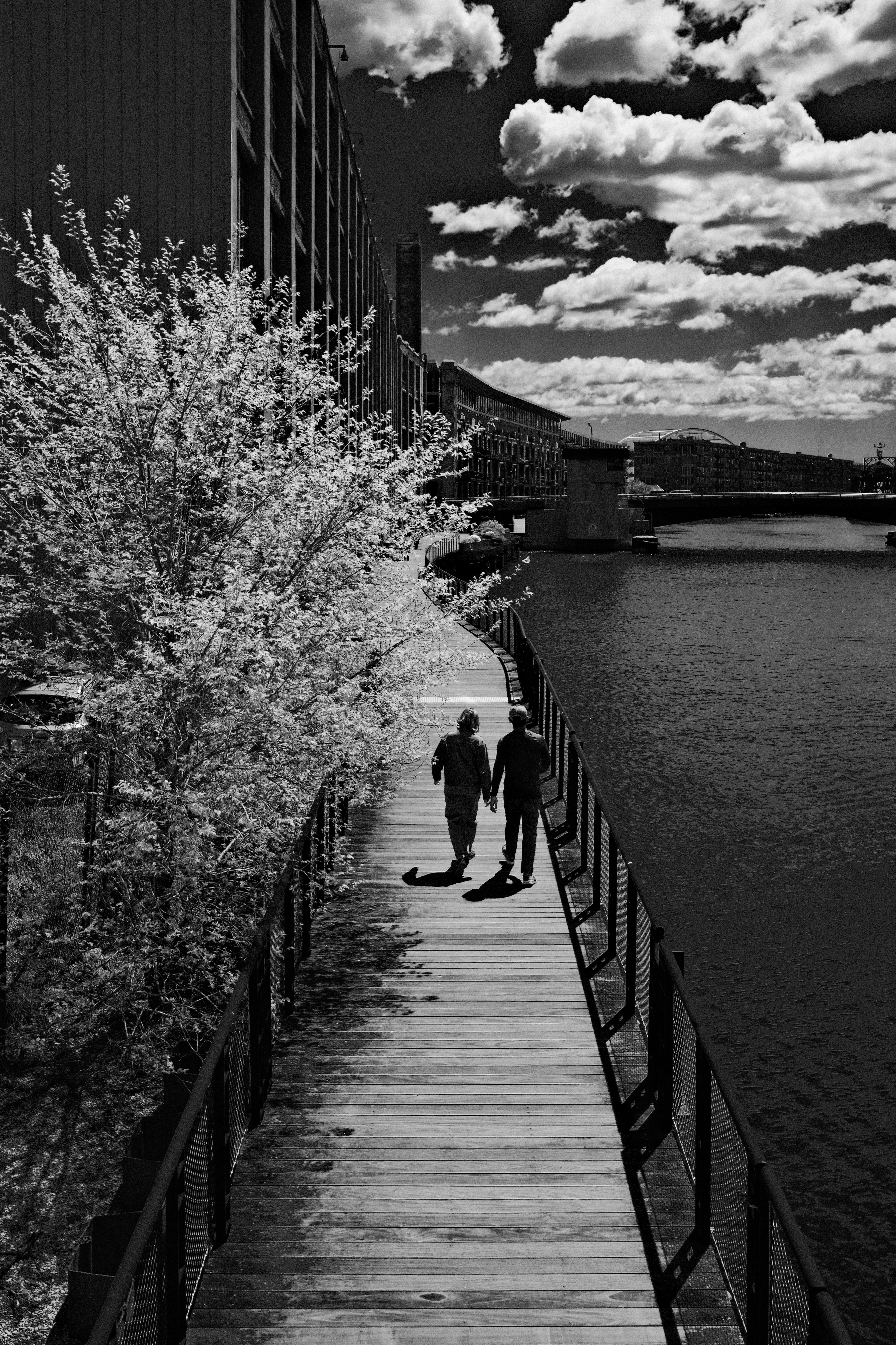 Black and White Urban Riverside Walkway · Free Stock Photo