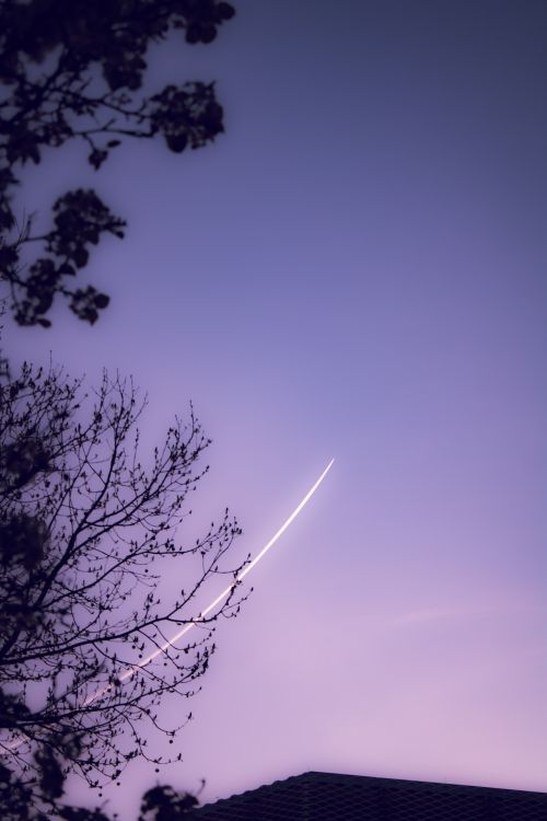 Free Ethereal twilight sky featuring silhouetted trees and graceful light trails in a serene setting. Stock Photo