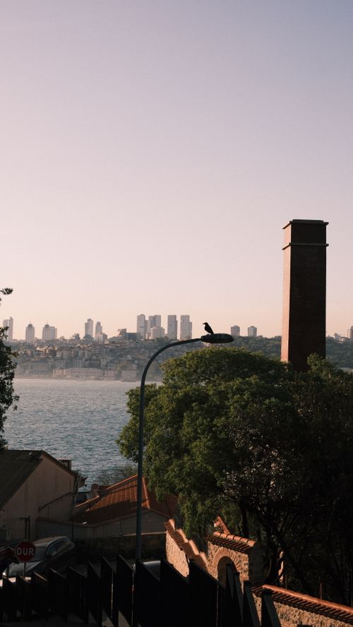 Free Scenic view of Sydney skyline across the water with cityscape and natural elements. Stock Photo