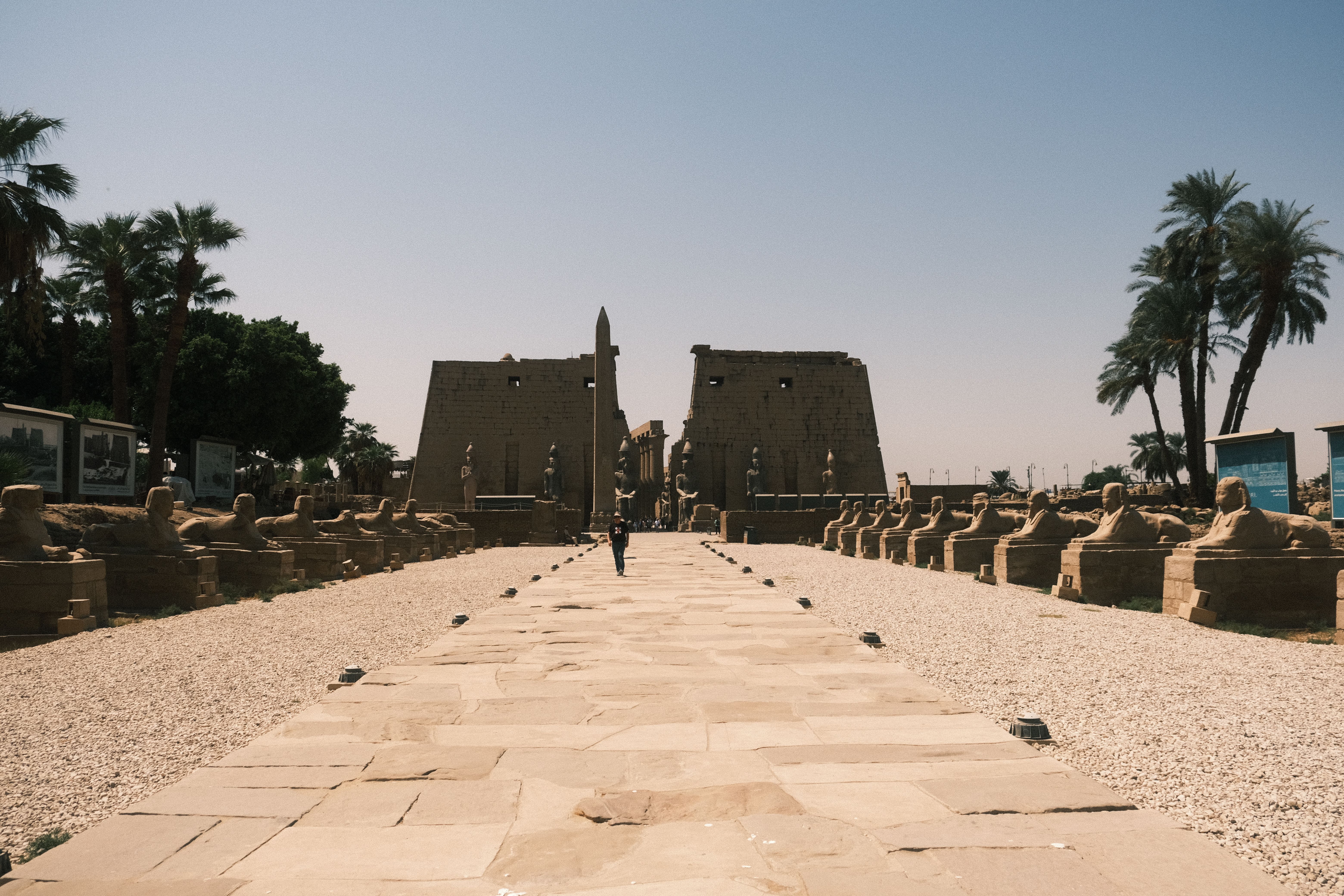 Discover the ancient Avenue of Sphinxes leading to Luxor Temple in Egypt, a marvel of ancient architecture.