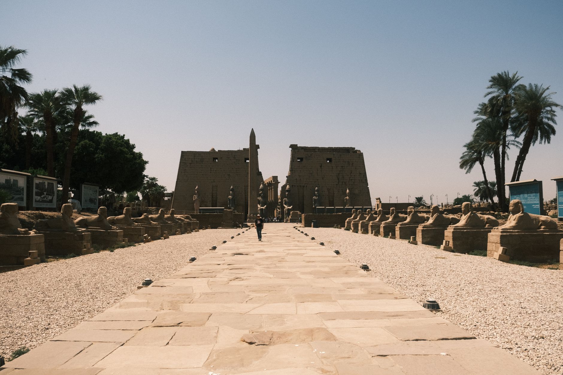 Discover the ancient Avenue of Sphinxes leading to Luxor Temple in Egypt, a marvel of ancient architecture.