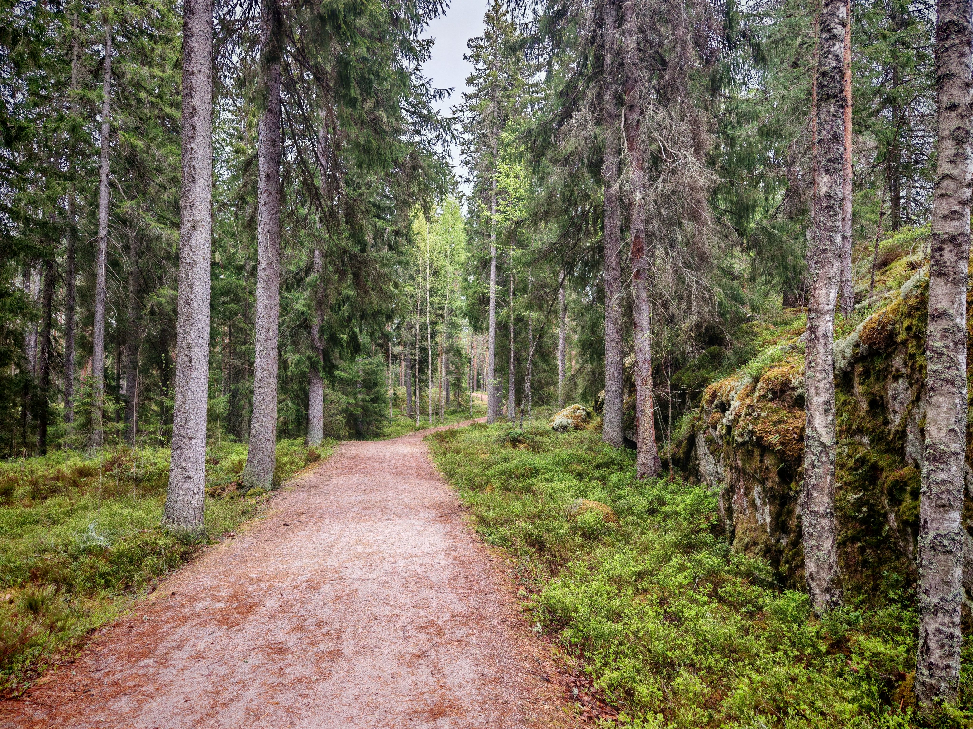 Urho Kekkonen trails