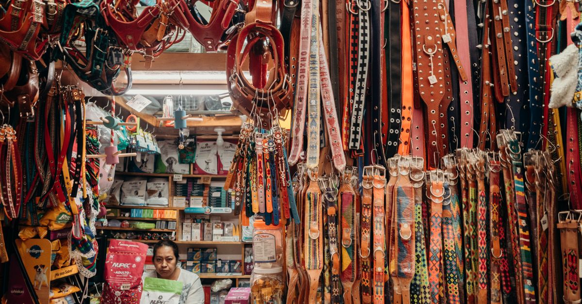 10 Must-Have Products for Every Pet Owner