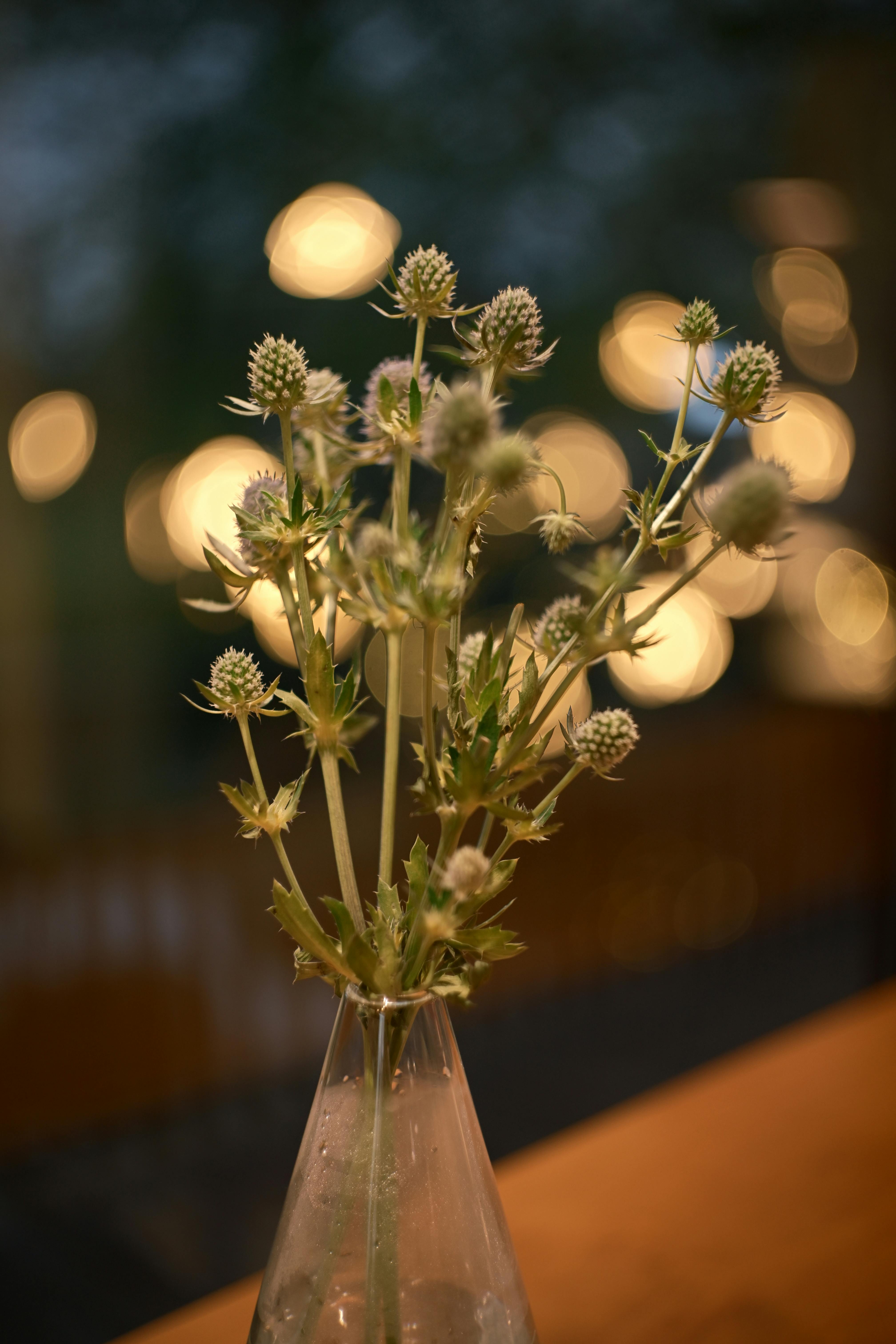 [ColoSach]-aesthetic-display-of-thistle-flowers-in-a-vase-against-a-warm,-bokeh-filled-background,-creating-a-serene-ambiance.
